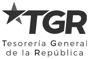 Tesorería General de la República - apremios patrimoniales